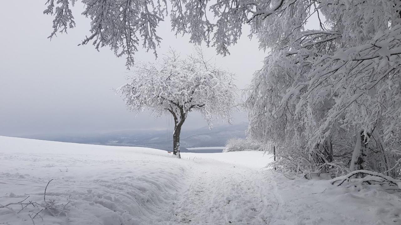 Sonnenschein Am Rursee Зиммерат Экстерьер фото